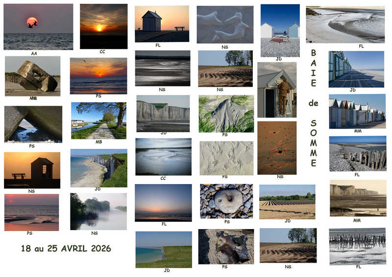 BdS paysages copie