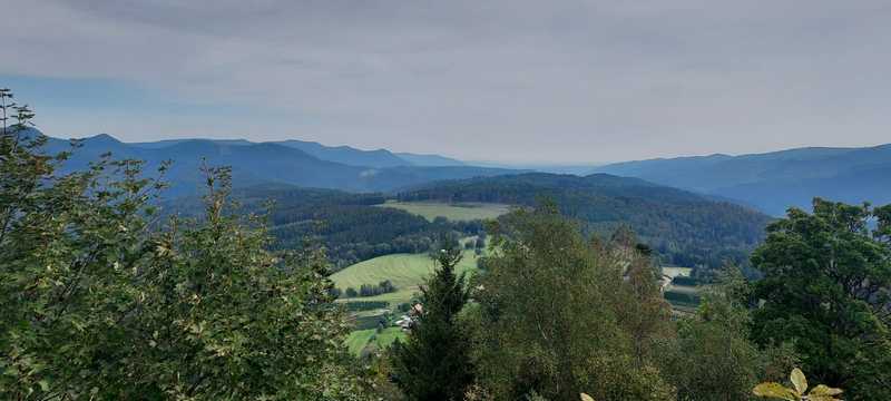 IMG 20240922 WA0015 800 600