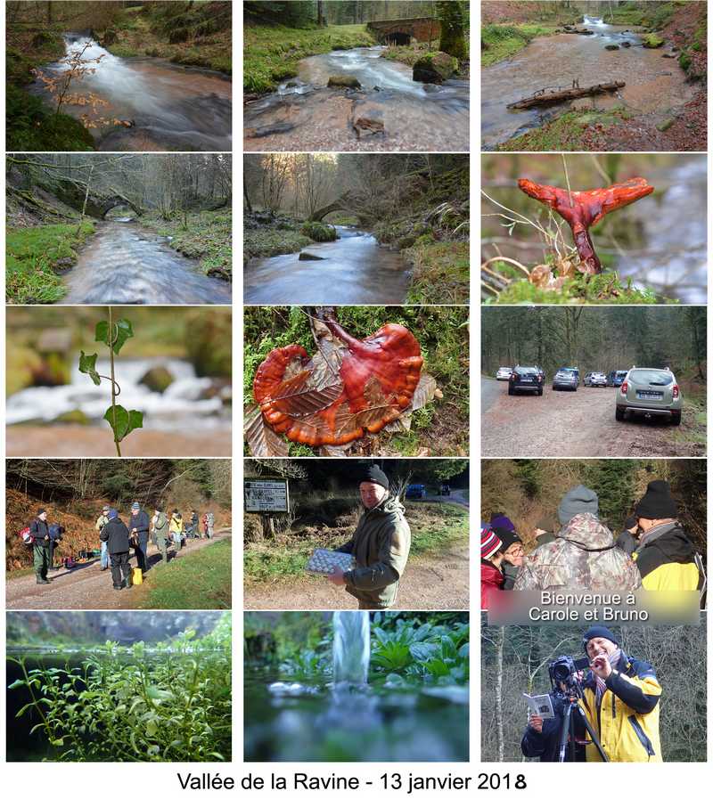 Planche Contact 13 janv 2018 Ravine 800