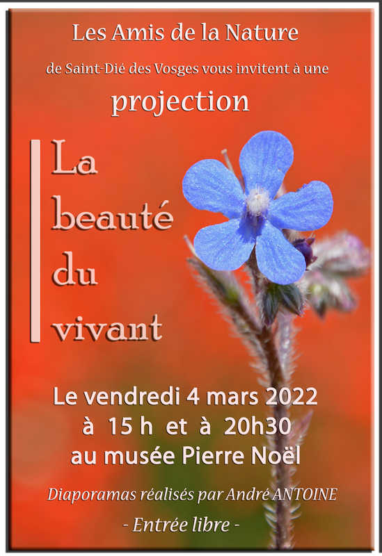 affiche projection AN 2022 réduite